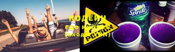 бошки Няндома