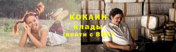 бошки Няндома