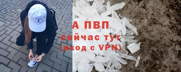 бошки Няндома