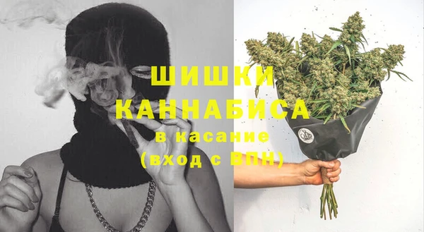 бошки Няндома
